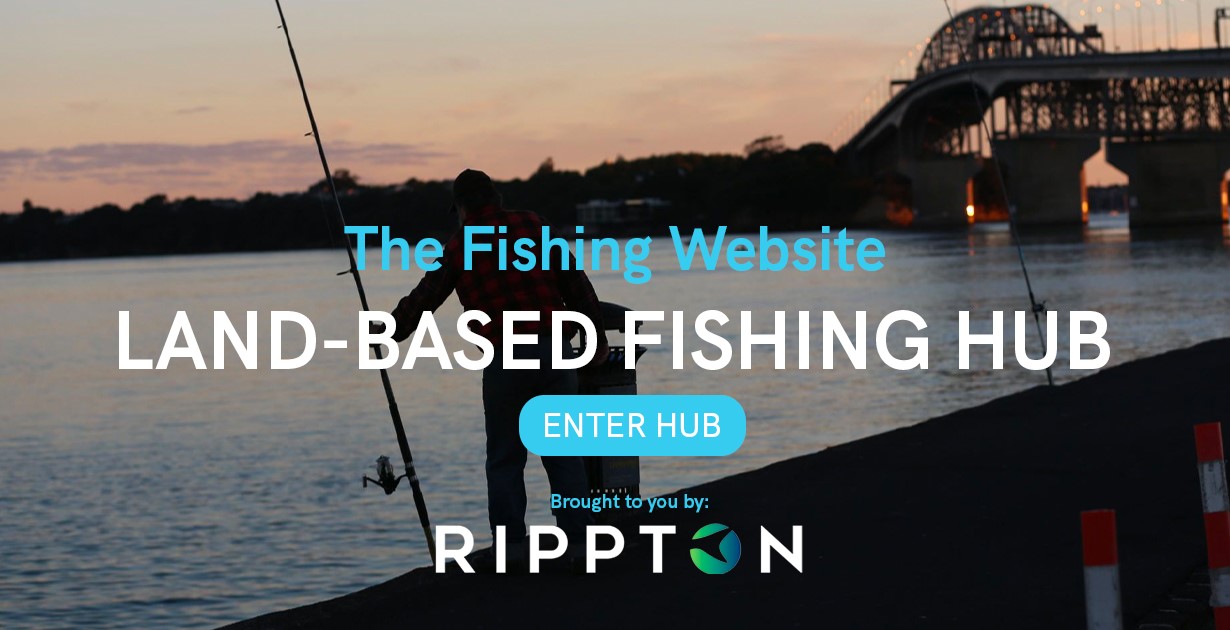 The Fishing site Fish Snapper, Kingfish The Fishing site